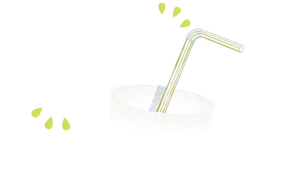 Kiwi Dulcis super succoso, ricco di freschezza e gusto